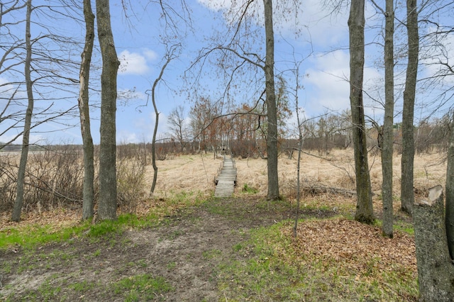 17265 Ward Lake Dr NW, Andover, MN 55304 - photo 68