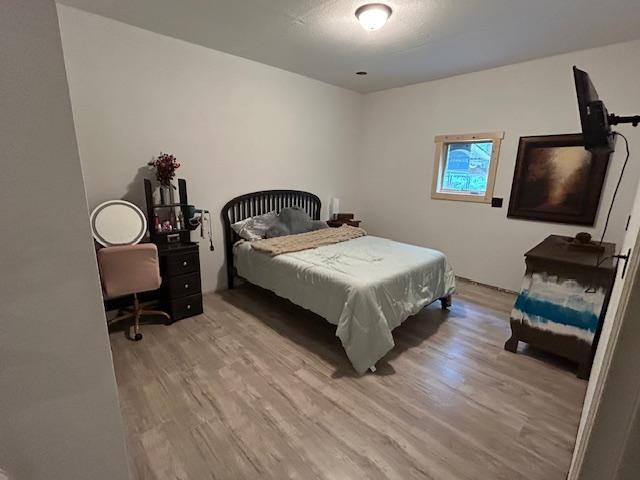 20735 Wendigo Park Rd, Harris Twp, MN 55744 - photo 18