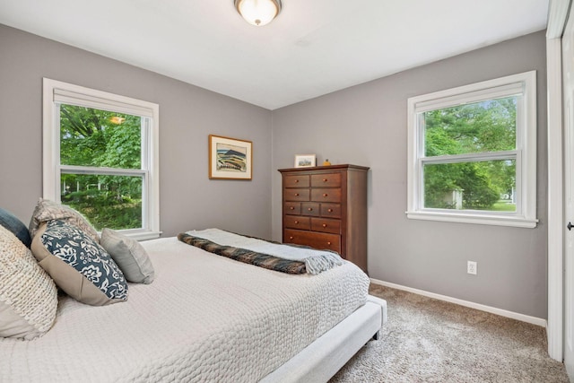 25815 Wild Rose Ln, Shorewood, MN 55331 - photo 12