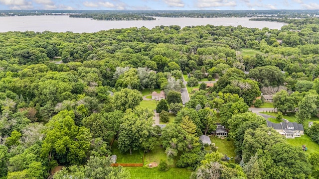 25815 Wild Rose Ln, Shorewood, MN 55331 - photo 26