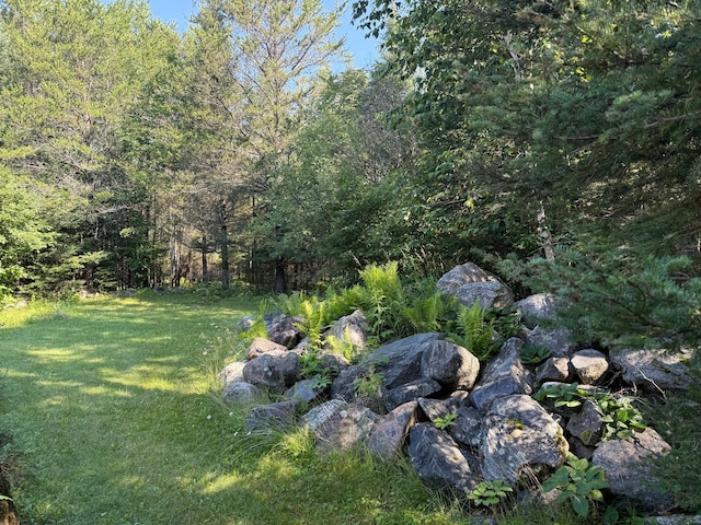 8124 Virginia Ely Rd, Babbitt, MN 55706 - photo 18