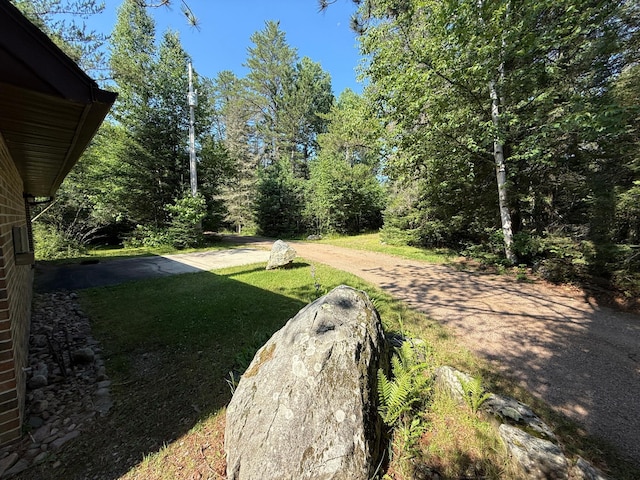 8124 Virginia Ely Rd, Babbitt, MN 55706 - photo 74