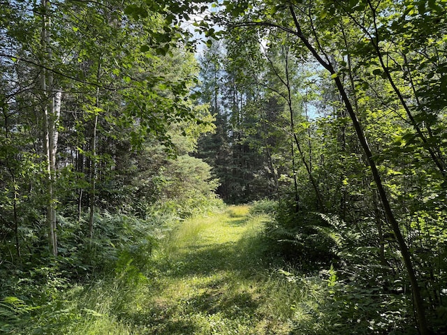 8124 Virginia Ely Rd, Babbitt, MN 55706 - photo 82