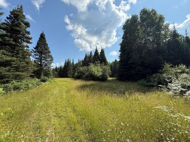 8124 Virginia Ely Rd, Babbitt, MN 55706 - photo 89