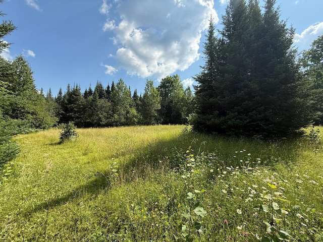 8124 Virginia Ely Rd, Babbitt, MN 55706 - photo 90