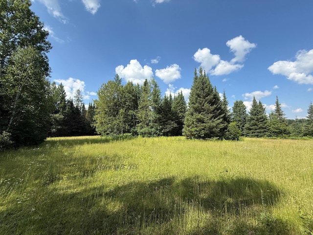 8124 Virginia Ely Rd, Babbitt, MN 55706 - photo 92
