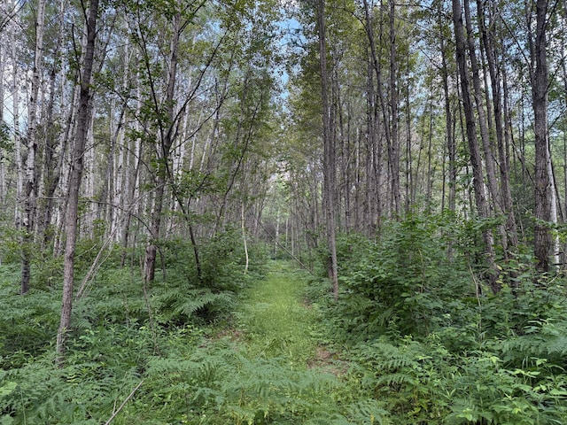 8124 Virginia Ely Rd, Babbitt, MN 55706 - photo 94