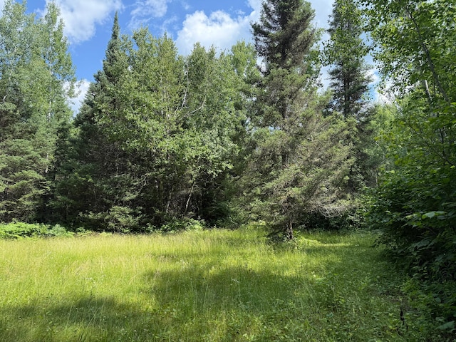 8124 Virginia Ely Rd, Babbitt, MN 55706 - photo 98