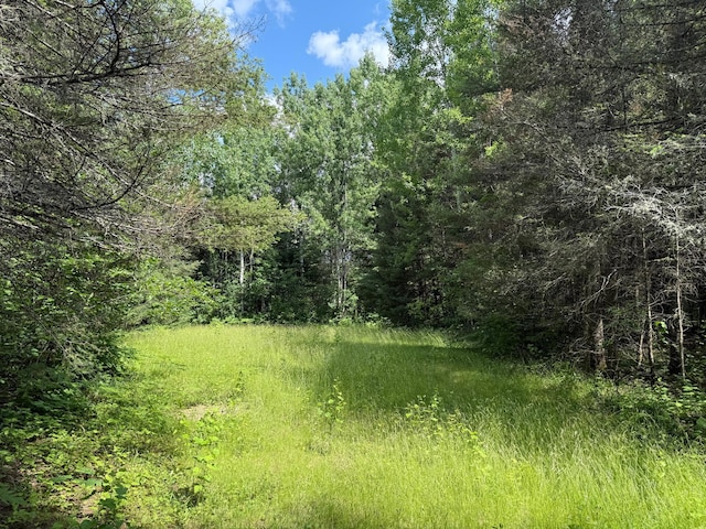 8124 Virginia Ely Rd, Babbitt, MN 55706 - photo 99