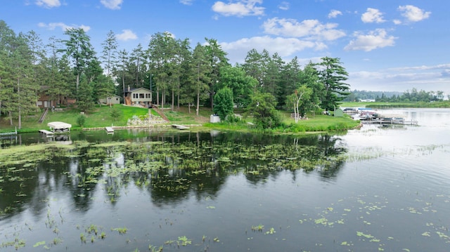 36945 Delta Bay Rd, Pine River, MN 56474 - photo 2