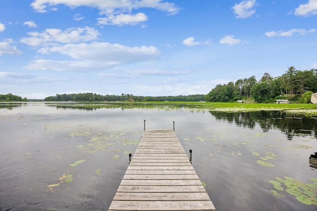 36945 Delta Bay Rd, Pine River, MN 56474 - photo 5