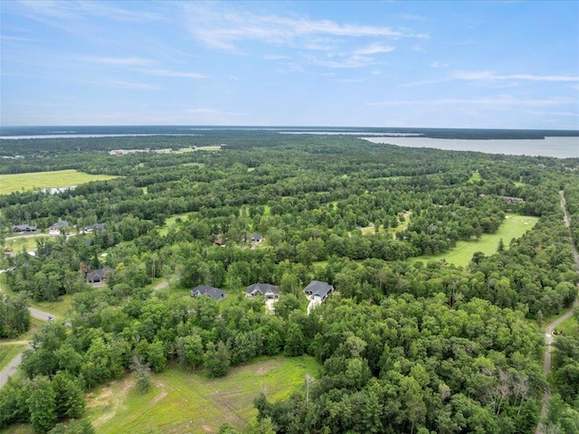 24680 White Pine Cir, Nisswa, MN 56468 - photo 57