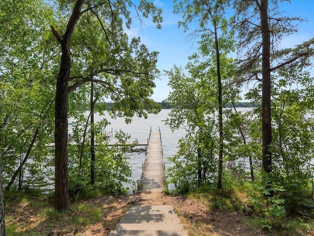 24680 White Pine Cir, Nisswa, MN 56468 - photo 71