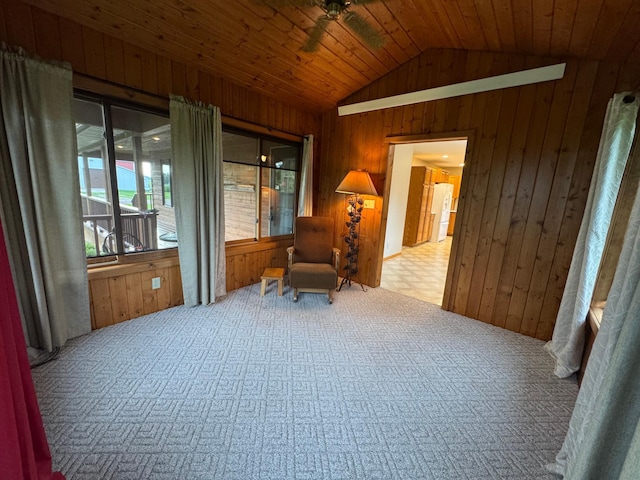 49547 440th St, Windom, MN 56101 - photo 35