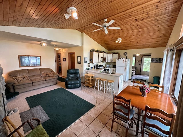 44205 Hawes Beach Rd, Otter Tail Twp, MN 56571 - photo 5