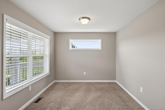 1234 139th St E, Rosemount, MN 55068 - photo 6