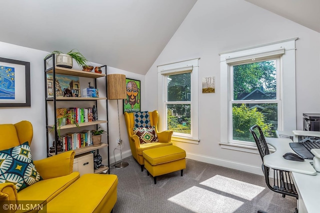 4500 45th Ave S, Minneapolis, MN 55406 - photo 21