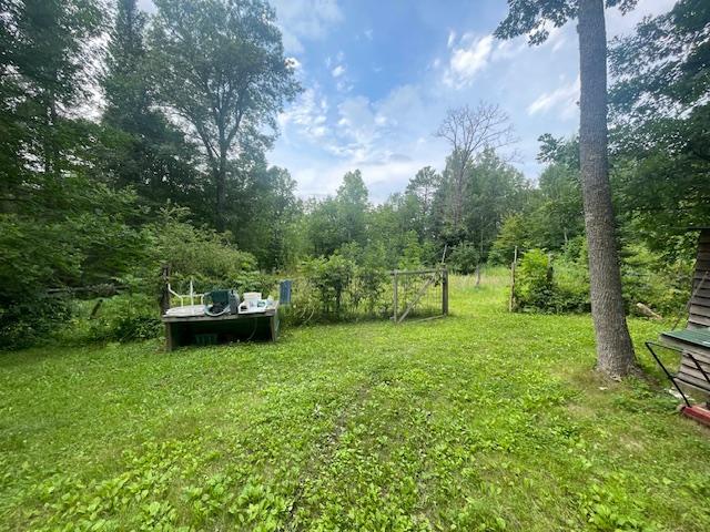 10799 Black Bear Rd, Garrison Twp, MN 56401 - photo 58