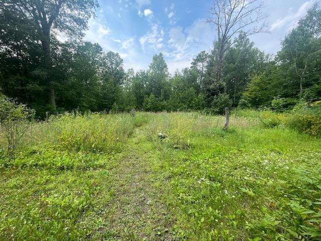10799 Black Bear Rd, Garrison Twp, MN 56401 - photo 59