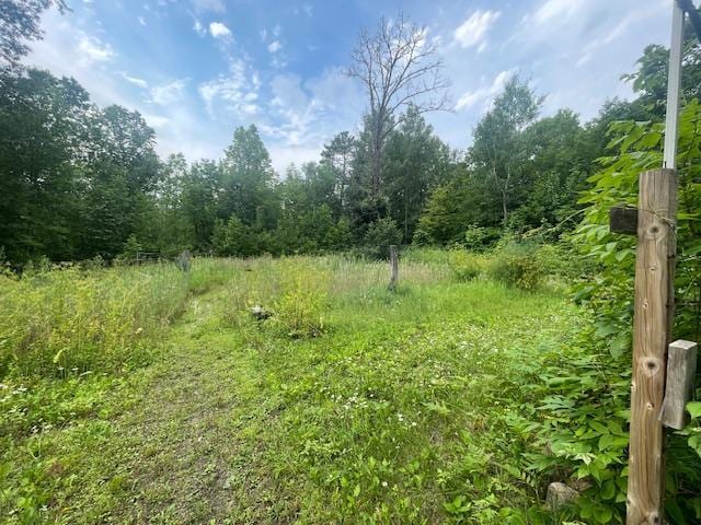 10799 Black Bear Rd, Garrison Twp, MN 56401 - photo 60
