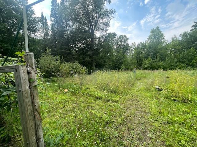 10799 Black Bear Rd, Garrison Twp, MN 56401 - photo 61