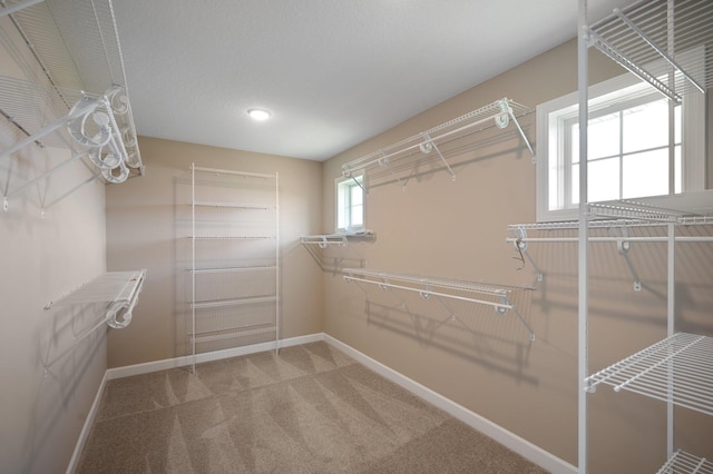 6430 Bluestem Cir, Corcoran, MN 55340 - photo 45