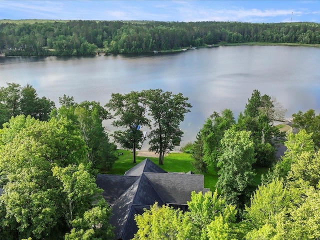 18128 Badger Rd, Grand Rapids, MN 55744 - photo 60