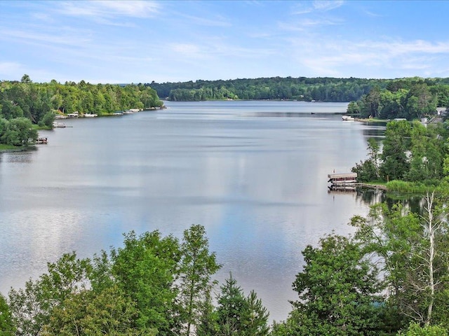18128 Badger Rd, Grand Rapids, MN 55744 - photo 61