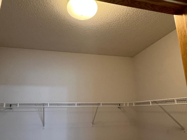 6659 Lipizzan Trl, Forest Lake, MN 55025 - photo 18