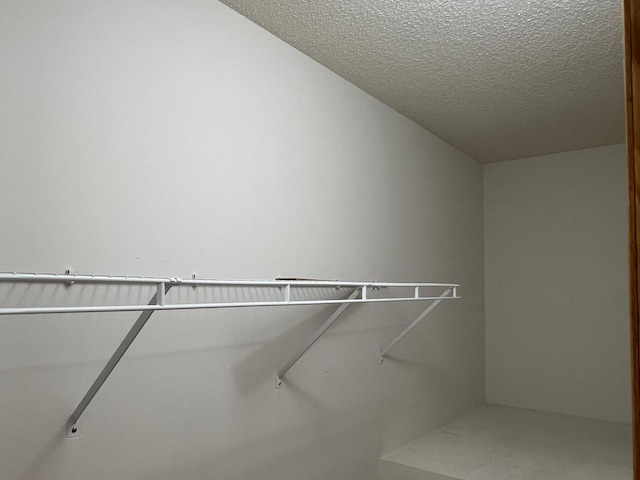 6659 Lipizzan Trl, Forest Lake, MN 55025 - photo 24