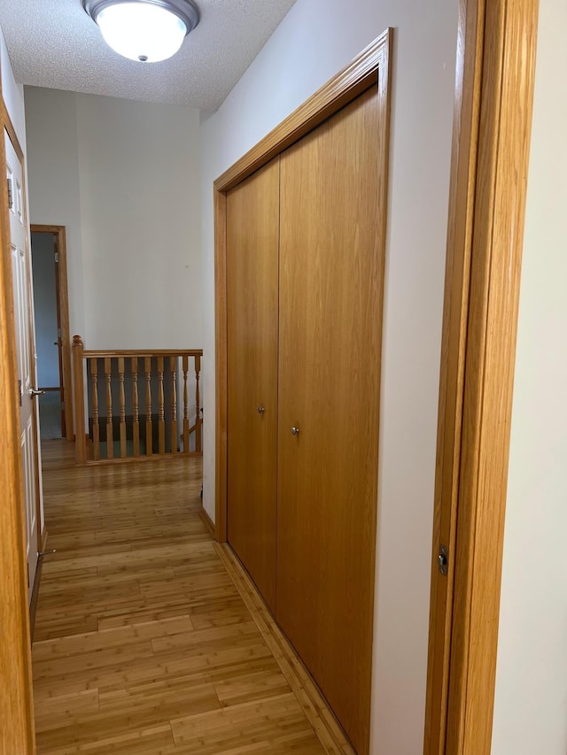 6659 Lipizzan Trl, Forest Lake, MN 55025 - photo 27