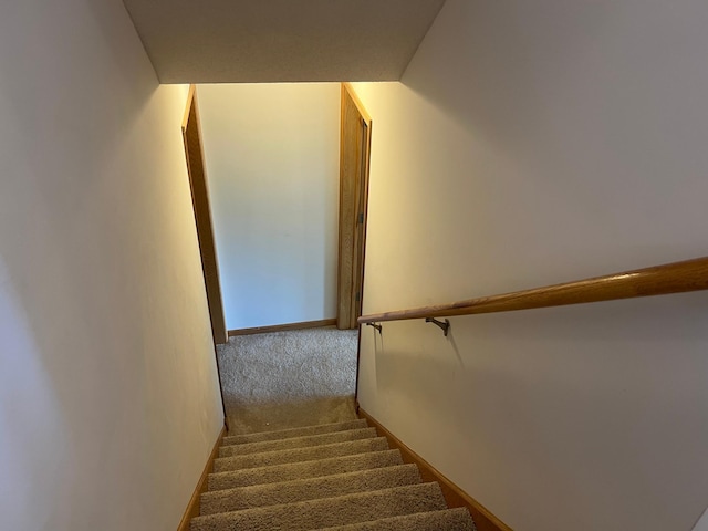 6659 Lipizzan Trl, Forest Lake, MN 55025 - photo 43