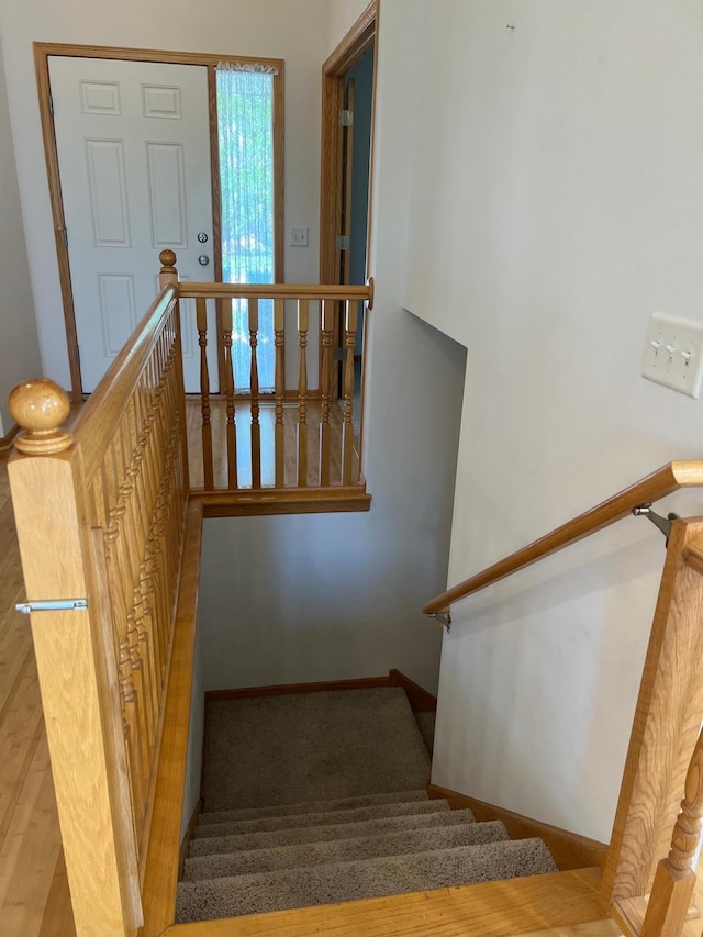 6659 Lipizzan Trl, Forest Lake, MN 55025 - photo 46