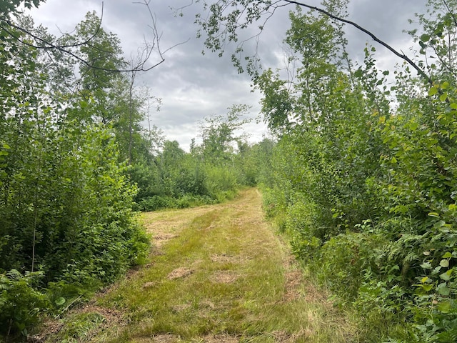 000 Mayfield Rd, Wilma Twp, MN 55072 - photo 6