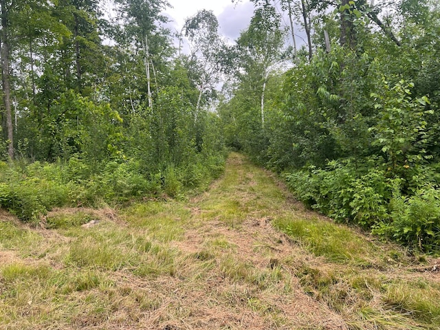 000 Mayfield Rd, Wilma Twp, MN 55072 - photo 7