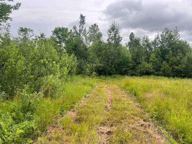 000 Mayfield Rd, Wilma Twp, MN 55072 - photo 8