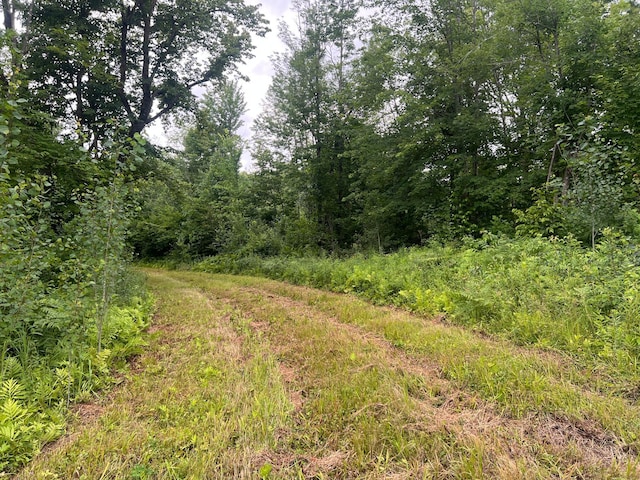 000 Mayfield Rd, Wilma Twp, MN 55072 - photo 10