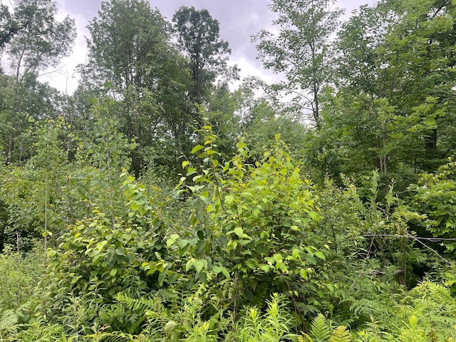 000 Mayfield Rd, Wilma Twp, MN 55072 - photo 11