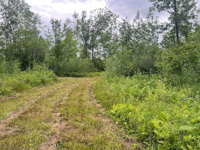 000 Mayfield Rd, Wilma Twp, MN 55072 - photo 12