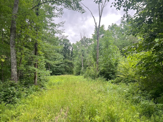 000 Mayfield Rd, Wilma Twp, MN 55072 - photo 13