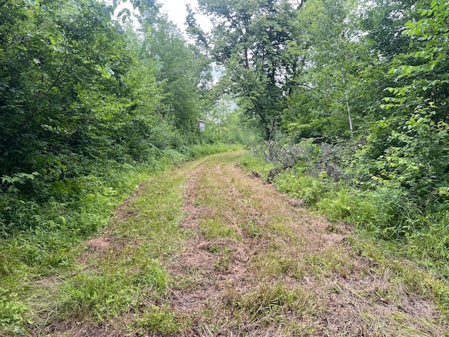000 Mayfield Rd, Wilma Twp, MN 55072 - photo 3