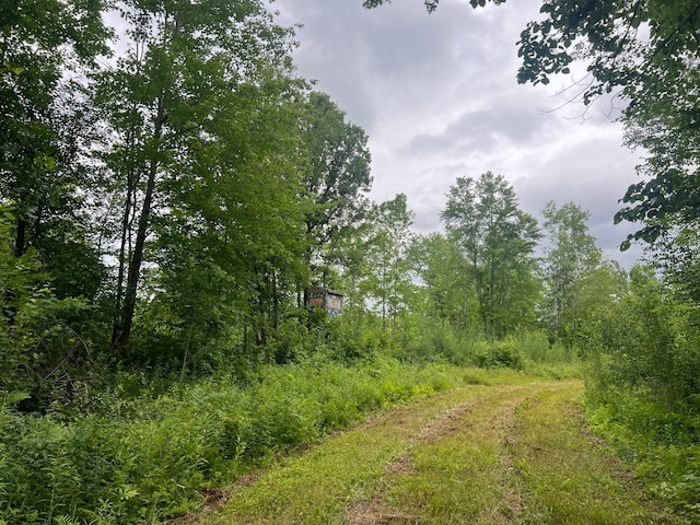 000 Mayfield Rd, Wilma Twp, MN 55072 - photo 14