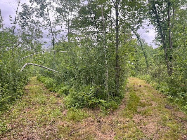 000 Mayfield Rd, Wilma Twp, MN 55072 - photo 25