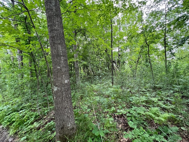 000 Mayfield Rd, Wilma Twp, MN 55072 - photo 26