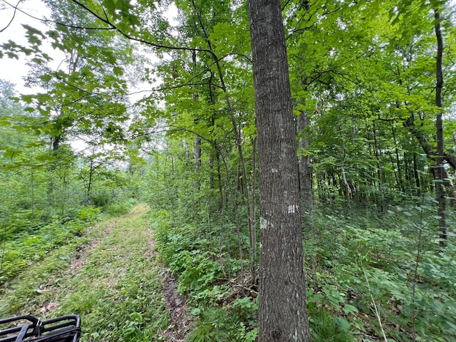 000 Mayfield Rd, Wilma Twp, MN 55072 - photo 27