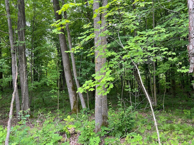 000 Mayfield Rd, Wilma Twp, MN 55072 - photo 28