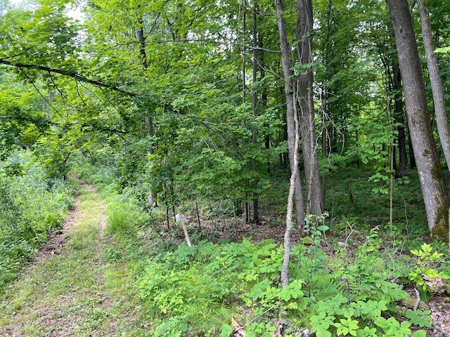 000 Mayfield Rd, Wilma Twp, MN 55072 - photo 29