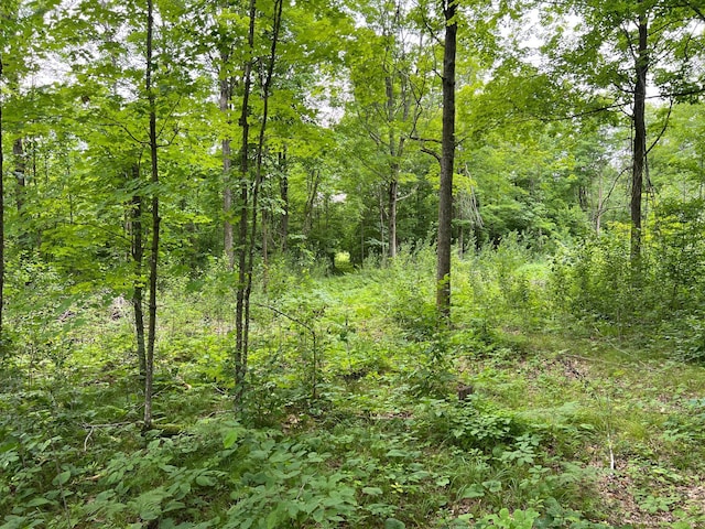 000 Mayfield Rd, Wilma Twp, MN 55072 - photo 36