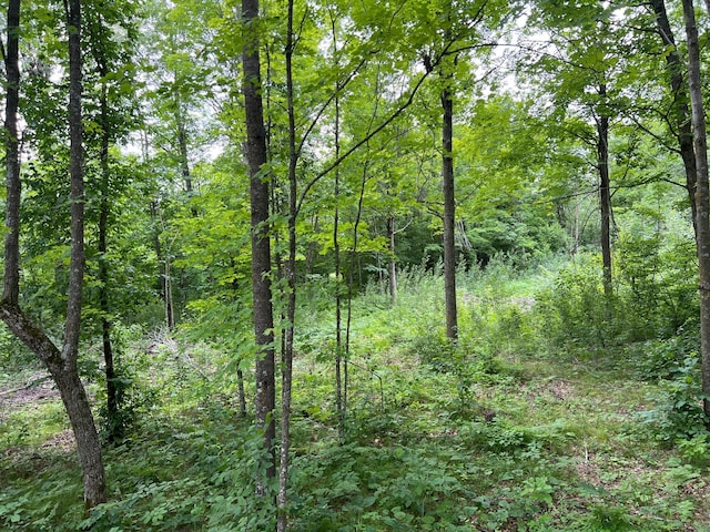 000 Mayfield Rd, Wilma Twp, MN 55072 - photo 40