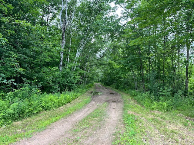 000 Mayfield Rd, Wilma Twp, MN 55072 - photo 45